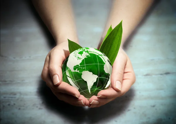 Protect the green of america in your hands — Stock Photo, Image