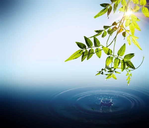 Hintergrund Wassertropfen und Blatt — Stockfoto