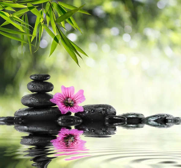Schwarzer Stein und Hibiskus mit Bambus auf dem Wasser — Stockfoto