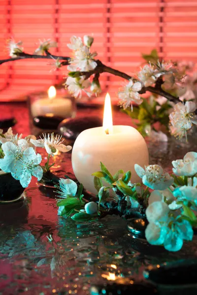 Almond flowers with candle - color therapy — Stock Photo, Image