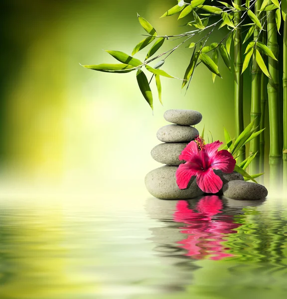 Kövek, piros hibiszkusz és bambusz a víz — Stock Fotó