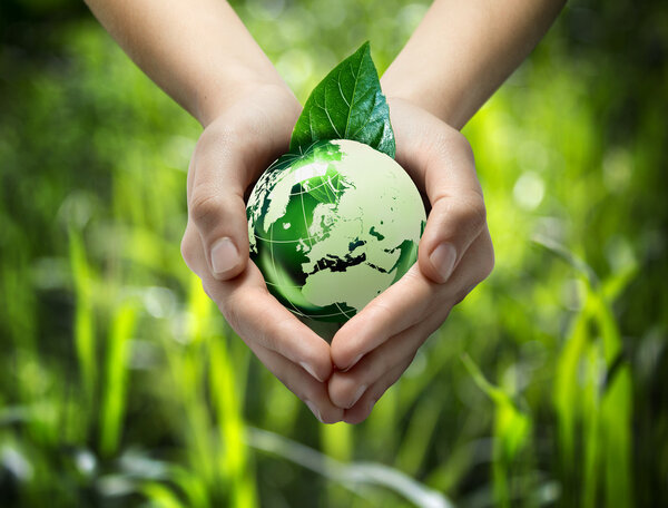 Green world in the heart hand - grass background