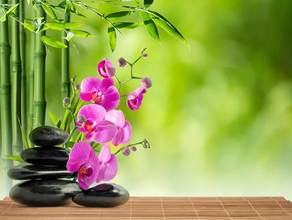 Lila Orchidee, schwarzer Stein und Bambus — Stockfoto