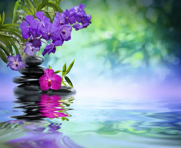 Orchidées violettes, pierres noires sur l'eau — Photo