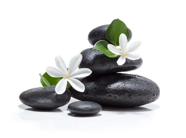 Tiare Blumen, Bad aus schwarzem Stein — Stockfoto