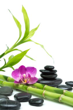 Bambu ve siyah taşlar - beyaz arka plan ile mor orkide