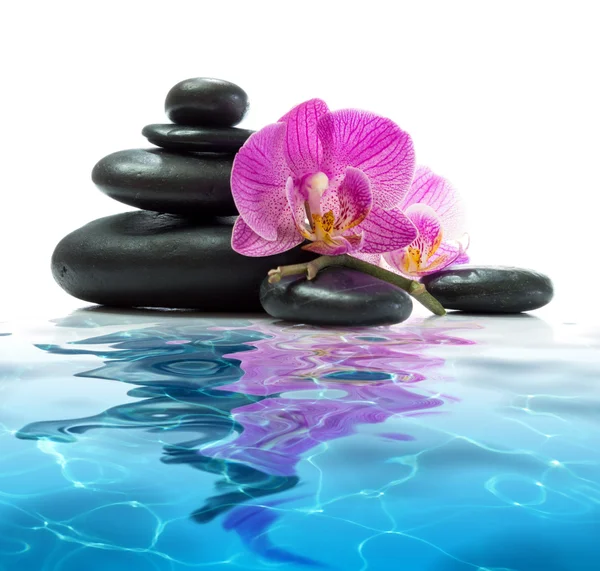 Purple orchids with tower black stones on blue water — Stock Photo, Image