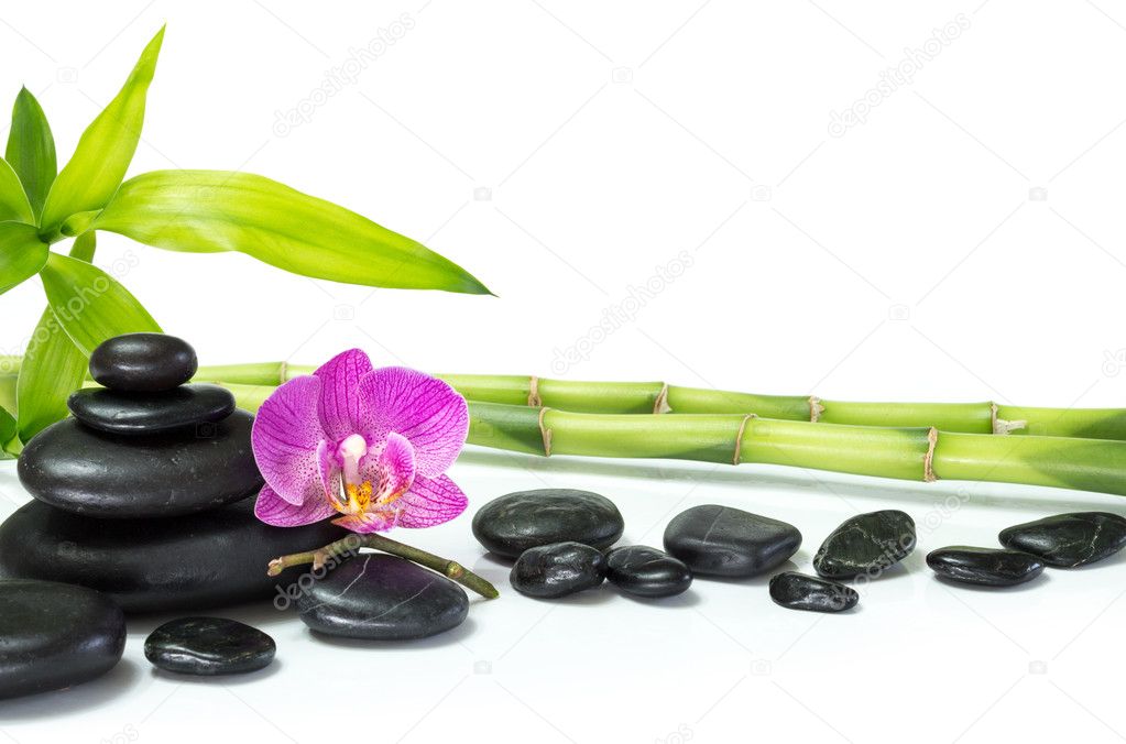Purple orchid with bamboo and row stones