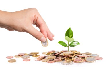 Money and plant with hand finance new business - start-up