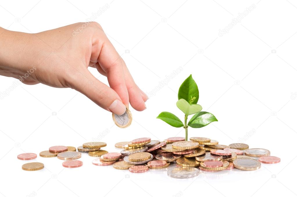 Money and plant with hand finance new business - start-up