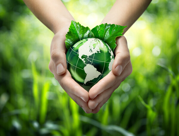 Environmental concept with glass globe and leaves on grass background - America