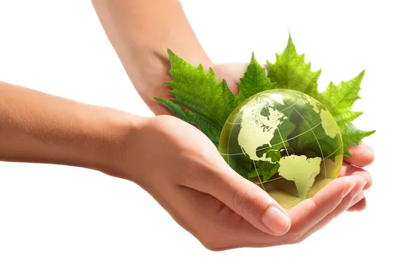 Environmental concept with glass globe and leaves on white background - America — Stock Photo, Image