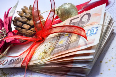 Euro paketi hediye yılbaşı - portre