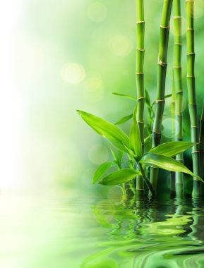 Bamboo stalks on water - blurs clipart
