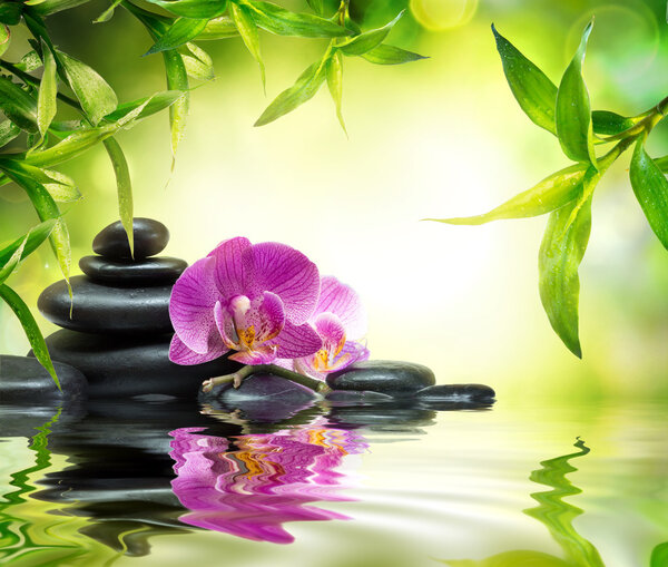 Alternative massage in bamboo garden on water