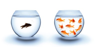 Fish in solitude - diversity concept, racism and isolation clipart
