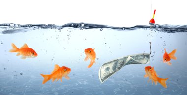 goldfish içinde tehlike - yem olarak dolar - kavram aldatma
