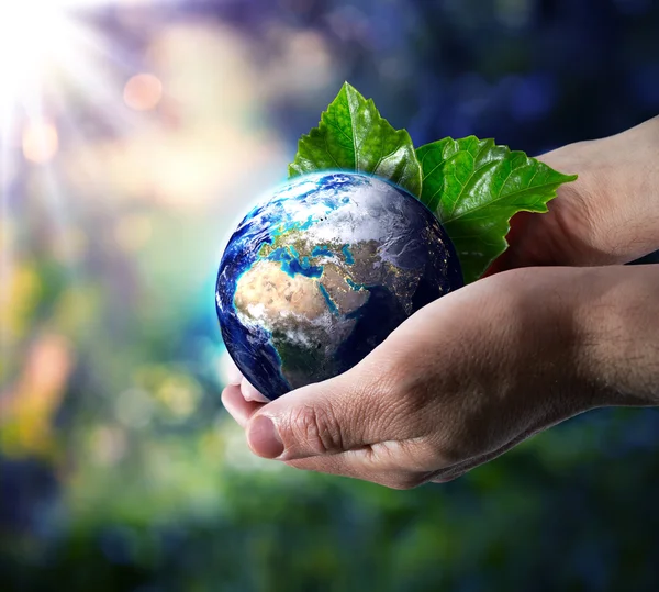 World in hand - environment concept — Stock Photo, Image