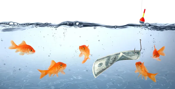 Goldfish in danger - dollar as bait - concept deception — Stock Photo, Image