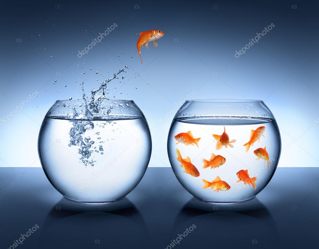 Goldfish jumping out of the water - alliance concept