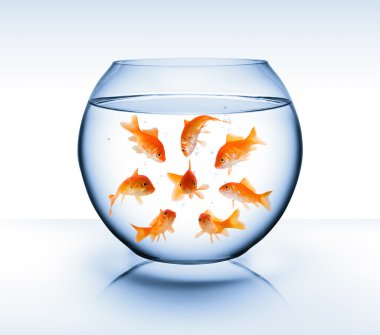 Goldfish - diversity concept, bullying and isolation clipart