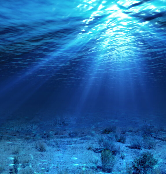 Подводный пейзаж и фон с водорослями
