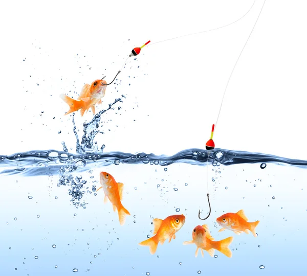 Cebo Goldfish - concepto de captura y engaño — Foto de Stock