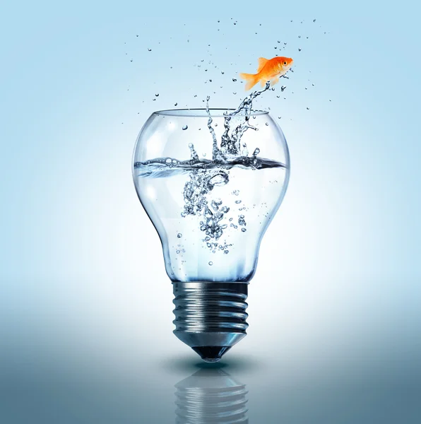 Goldfish jumping out electric bulb — Stock Photo, Image