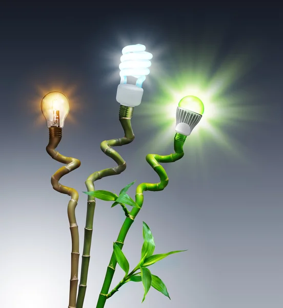 Żarówki w porównaniu - halogen, fluorescencyjne i LED - na bambusa — Zdjęcie stockowe