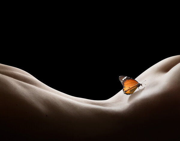 Спинка и бабочка - в чёрном - чувствительное понятие
