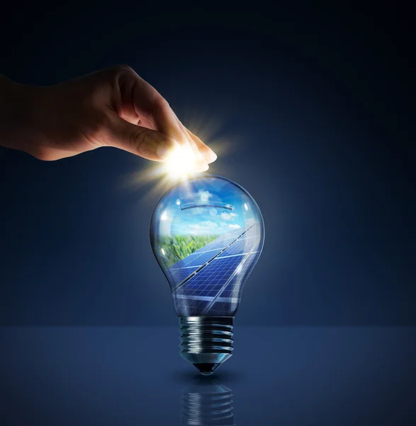 投资于太阳能-概念荪在灯泡储钱 — 图库照片