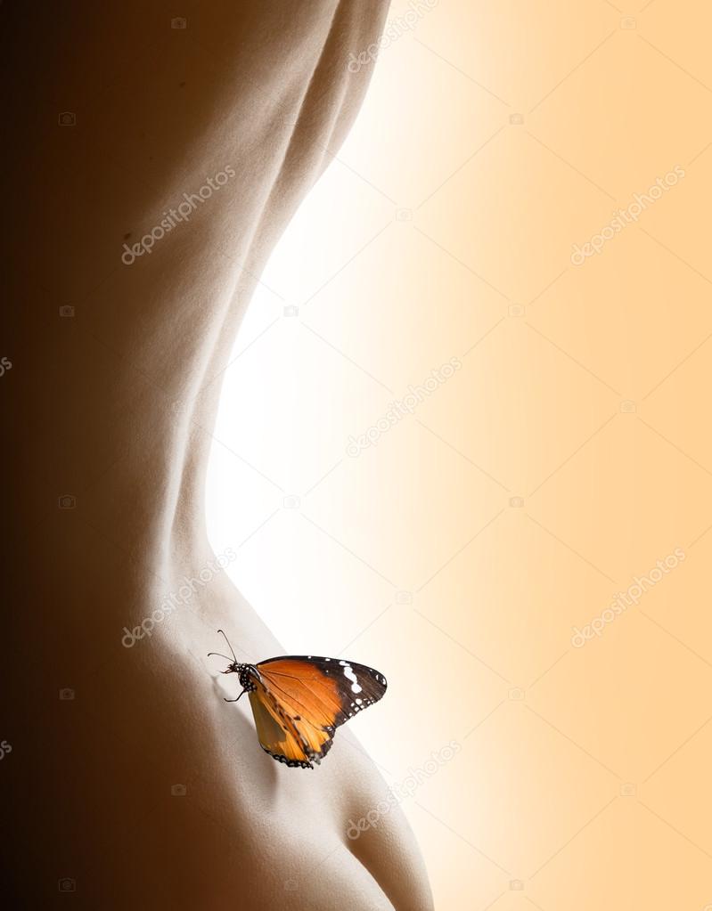 Back and butterfly - delicate concept