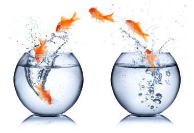 Goldfish - izole kavramı - değiştirmek