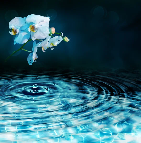 Gota en el agua con orquídea, en la oscuridad — Foto de Stock