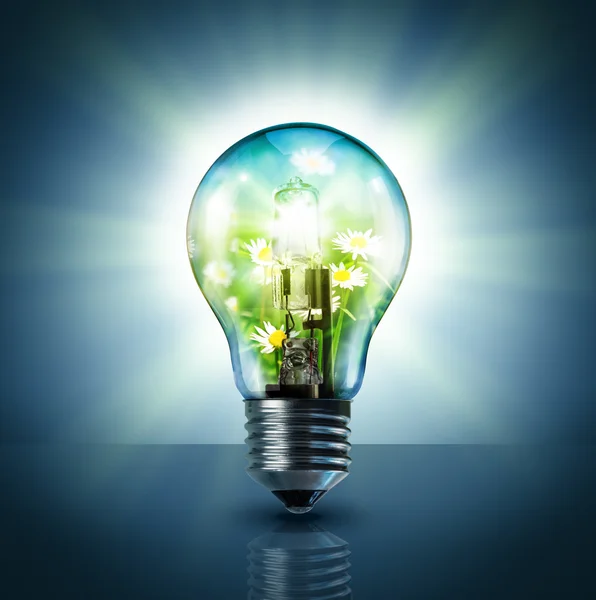 Idea ecologica - verde in lampada — Foto Stock