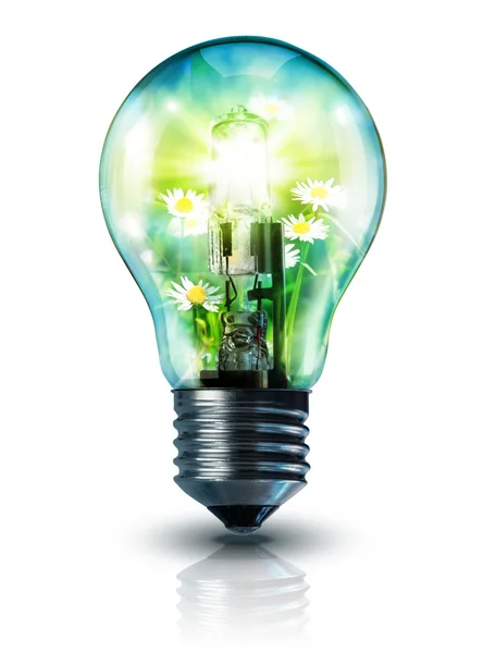 Ecological idea - lawn in lamp isolated — Stock Photo, Image