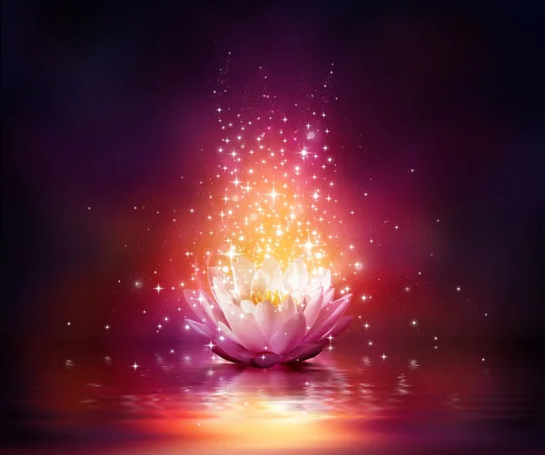 Magic flower on water — Stock Photo, Image