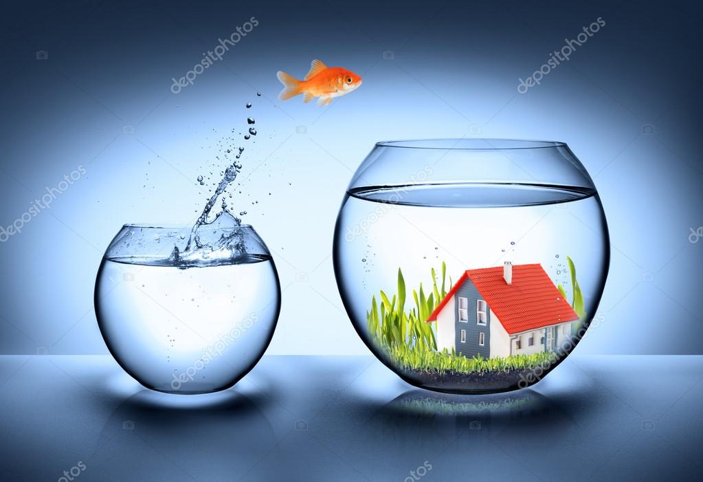 Fish find house real estate concept Stock Photo by ©rfphoto 50109991