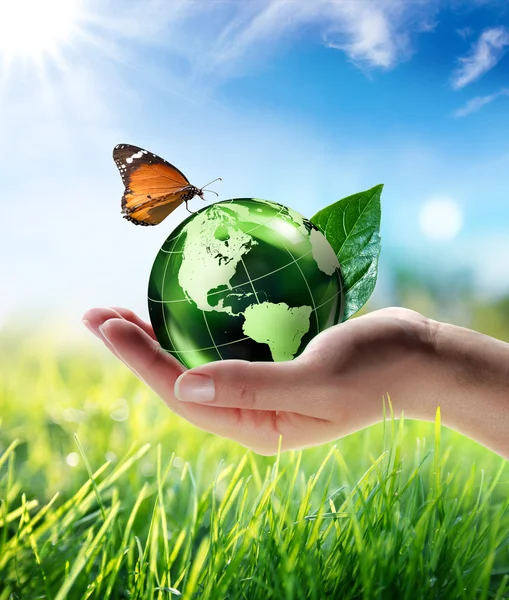 Eco-friendly concept — Stock Photo, Image