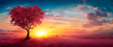 Kalp Ağacı - Doğayı Sevmek - Gün batımında Kızıl Manzara