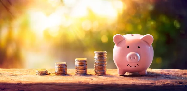 Sparpengar Framgång Piggybank Financial Banking Concepts — Stockfoto