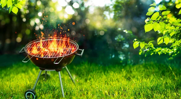 Barbecue Grill Dans Jardin Avec Flamme Feu Grillage Plein Air — Photo