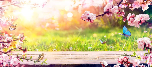 春のテーブル 抽象化された光を持つ日当たりの良い庭の花 — ストック写真
