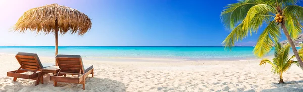 热带海滩 蓝海珊瑚沙滩上的椅子和棕榈树 — 图库照片