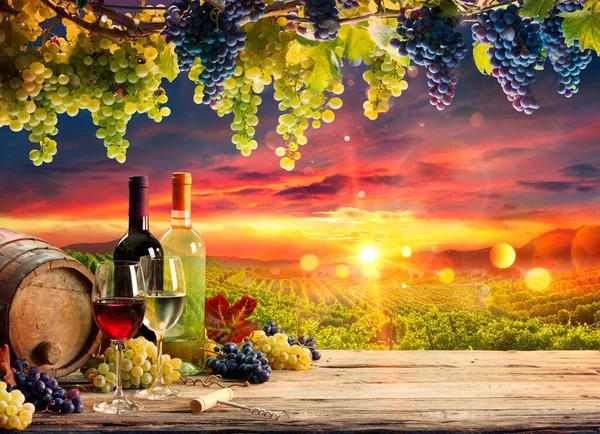 Wine Glasses Bottle Grapes Barrel Vineyard Sunset — Zdjęcie stockowe