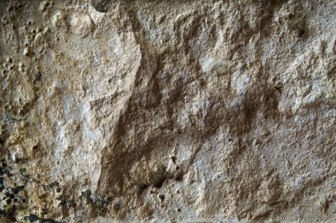 Ukrayna. Taş kaplamaları gördüm ve yüzeyin yapısını sevdim, özellikle de gün ışığında, gün ışığında, tripodla çekilmiş..                               