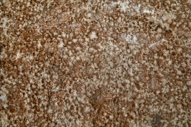 Ukrayna. Taş kaplamaları gördüm ve yüzeyin yapısını sevdim, özellikle de gün ışığında, gün ışığında, tripodla çekilmiş..                               