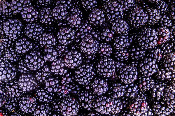 SONY. Blackberry helps many people support good health and helps with diseases in the cold season and I could not pass by and not photograph this berry, I photographed with natural light on top.