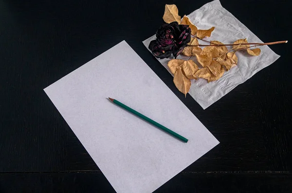 SONY. Several variants of paper for writing notes with a certain nostalgic content, with a withered rose showing how long ago the note was written, photographed in a studio under artificial lighting, from above.