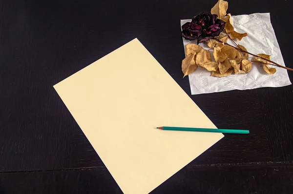 SONY. Several variants of paper for writing notes with a certain nostalgic content, with a withered rose showing how long ago the note was written, photographed in a studio under artificial lighting, from above.